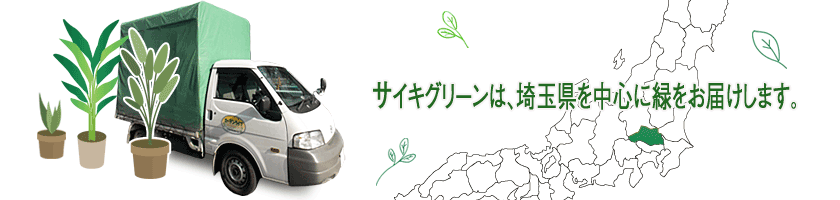 サイキグリーンは、埼玉県を中心に緑(植物)をお届け致します。 width=