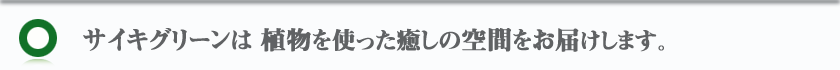 緑のレンタルは、サイキグリーンにお任せください。 width=